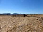 Terreno R�stico - Figueira de Castelo Rodrigo, Figueira de Castelo Rodrigo, Guarda