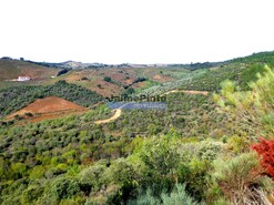 Terreno R�stico - Alfadega da F�, Alf�ndega da F�, Bragan�a