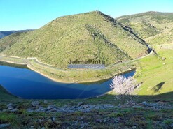 Terreno Rstico - Alfadega da F, Alfndega da F, Bragana