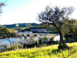 Terreno Rstico - Barca DAlva, Figueira de Castelo Rodrigo, Guarda