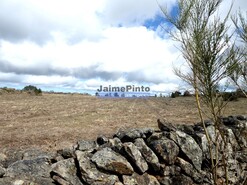 Terreno R�stico - Vilar de Amargo, Figueira de Castelo Rodrigo, Guarda - Miniatura: 4/9