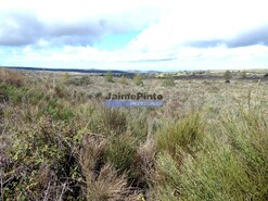 Terreno R�stico - Vilar de Amargo, Figueira de Castelo Rodrigo, Guarda - Miniatura: 5/9