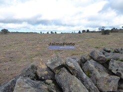 Terreno R�stico - Vilar de Amargo, Figueira de Castelo Rodrigo, Guarda - Miniatura: 6/9