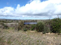 Terreno R�stico - Vilar de Amargo, Figueira de Castelo Rodrigo, Guarda - Miniatura: 7/9