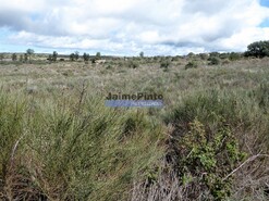 Terreno R�stico - Vilar de Amargo, Figueira de Castelo Rodrigo, Guarda - Miniatura: 9/9