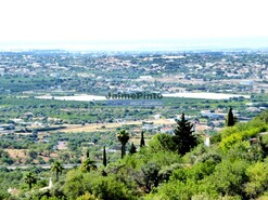 Quinta T3 - Estoi, Faro, Faro (Algarve) - Miniatura: 4/8