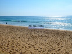 Quinta T3 - Estoi, Faro, Faro (Algarve) - Miniatura: 8/8