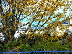 Moradia > T6 - Mirandela, Mirandela, Bragan�a - Miniatura: 2/9