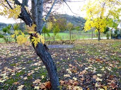 Moradia > T6 - Mirandela, Mirandela, Bragan�a - Miniatura: 8/9