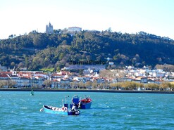 Hotel/Residencial > T6 - Caminha, Caminha, Viana do Castelo - Miniatura: 4/9
