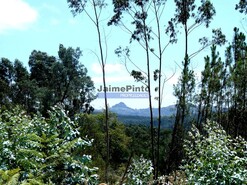 Quinta T4 - Caramulo, Tondela, Viseu - Miniatura: 9/9