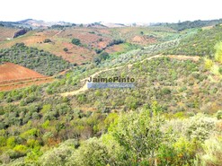 Terreno Rstico - Alfadega da F, Alfndega da F, Bragana - Miniatura: 1/6