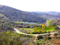 Terreno Rstico - Alfadega da F, Alfndega da F, Bragana - Miniatura: 2/6