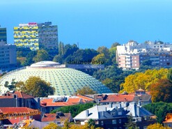 Apartamento T1 - Santo Ildefonso, Porto, Porto - Miniatura: 8/8