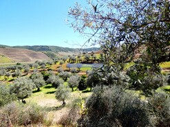 Quinta - Vila Nova de Foz Ca, Vila Nova de Foz Ca, Guarda - Miniatura: 2/9