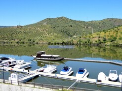 Quinta - Vila Nova de Foz Ca, Vila Nova de Foz Ca, Guarda - Miniatura: 7/9