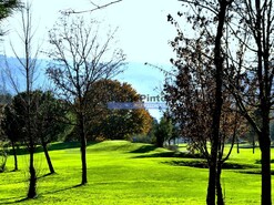 Ruina - Vidago, Chaves, Vila Real - Miniatura: 7/7