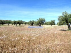 Quinta - Barca D�Alva, Figueira de Castelo Rodrigo, Guarda - Miniatura: 3/9