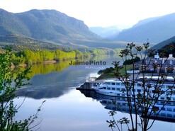 Quinta - Barca D�Alva, Figueira de Castelo Rodrigo, Guarda - Miniatura: 9/9