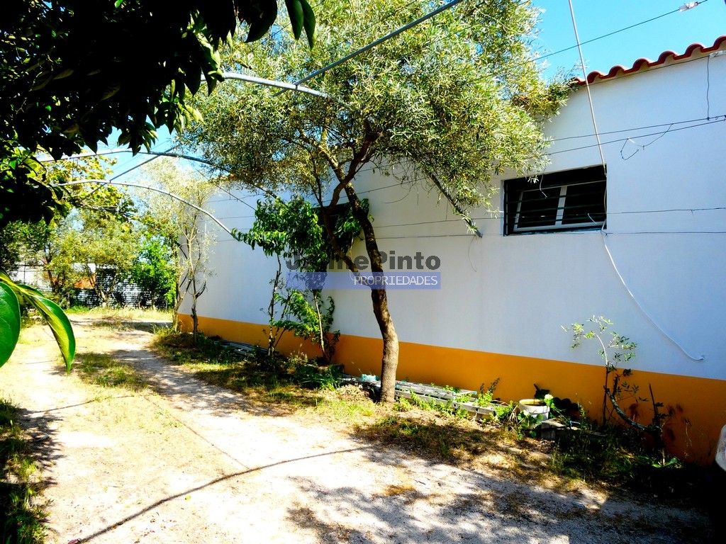 Quinta T6 - Peg�es, Montijo, Set�bal - Miniatura: 4/8