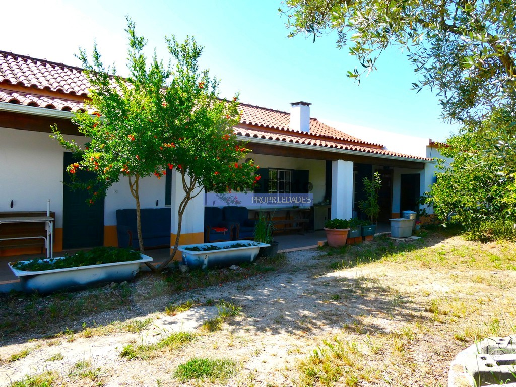 Quinta T6 - Peg�es, Montijo, Set�bal - Miniatura: 8/8
