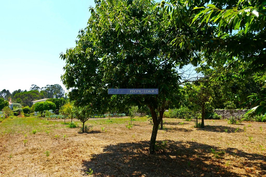 Quinta T3 - Santa Comba, Ponte de Lima, Viana do Castelo - Miniatura: 5/9