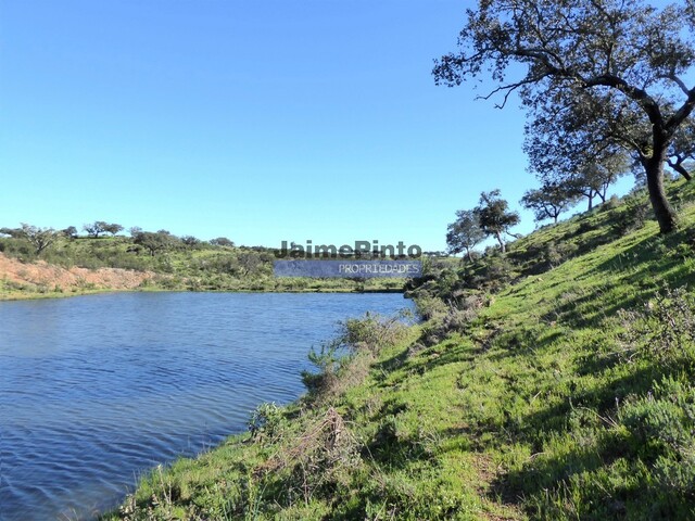 Quinta T4 - Amieira, Portel, Évora - Imagem grande