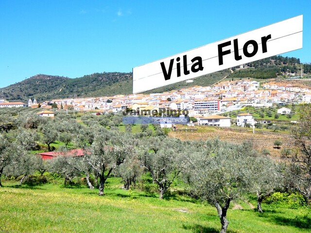 Pr�dio - Vila Flor, Vila Flor, Bragan�a - Imagem grande