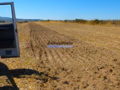 Terreno R�stico - Figueira de Castelo Rodrigo, Figueira de Castelo Rodrigo, Guarda