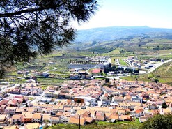 Pr�dio - Vila Flor, Vila Flor, Bragan�a - Miniatura: 9/9