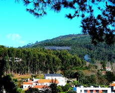 Terreno Urbano - Afife, Viana do Castelo, Viana do Castelo - Miniatura: 4/4