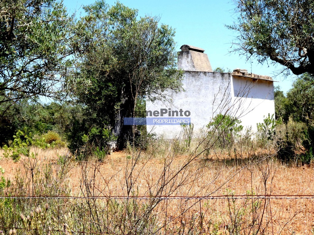 Terreno R�stico - Alqueva, Portel, �vora - Miniatura: 1/5