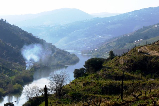 Quinta - Vila Marim, Meso Frio, Vila Real - Imagem grande