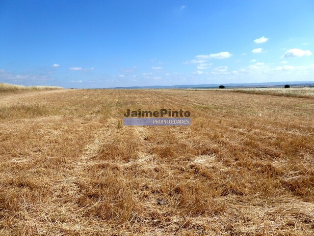 Terreno R�stico - Beja, Beja, Beja - Imagem grande