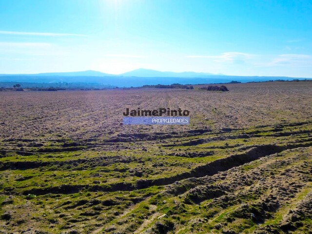 Terreno Rstico - Barca DAlva, Figueira de Castelo Rodrigo, Guarda - Imagem grande