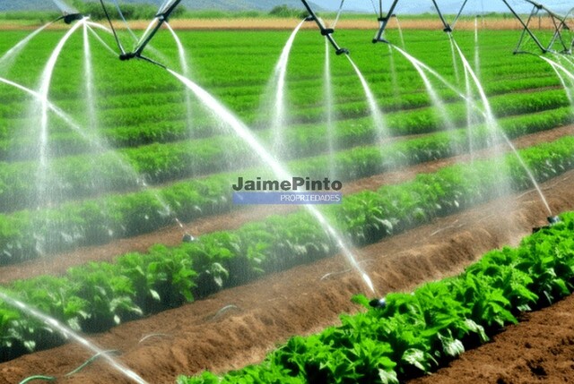 Terreno R�stico - Lagos, Lagos, Faro (Algarve) - Imagem grande