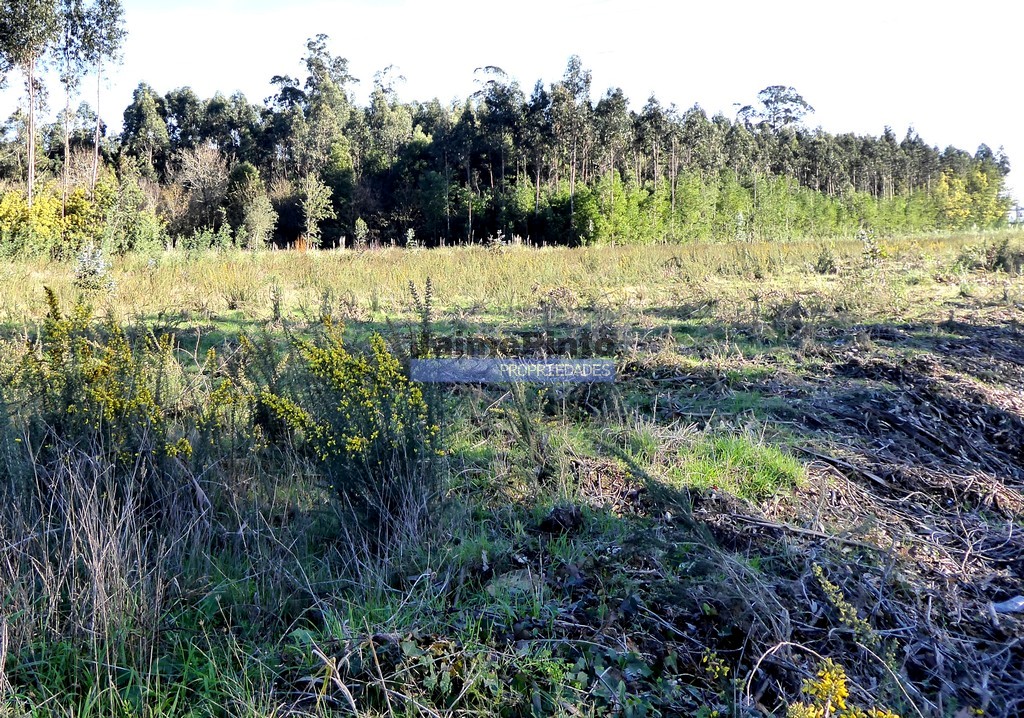 Terreno Urbano - Cacia, Aveiro, Aveiro - Imagem grande