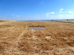 Terreno R�stico - Beja, Beja, Beja