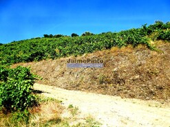 Quinta - Pinho, Alij, Vila Real