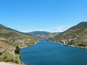 Terreno R�stico - Pinh�o, Alij�, Vila Real - Miniatura: 5/5