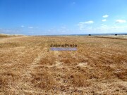 Terreno R�stico - Beja, Beja, Beja - Miniatura: 1/6