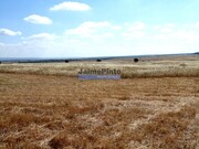 Terreno R�stico - Beja, Beja, Beja - Miniatura: 2/6