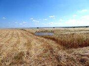 Terreno R�stico - Beja, Beja, Beja - Miniatura: 3/6