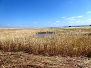Terreno R�stico - Beja, Beja, Beja - Miniatura: 4/6
