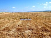Terreno R�stico - Beja, Beja, Beja - Miniatura: 6/6
