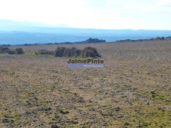 Terreno Rstico - Barca DAlva, Figueira de Castelo Rodrigo, Guarda - Miniatura: 4/6