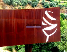 Quinta - Pinho, Alij, Vila Real - Miniatura: 2/9