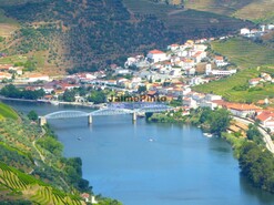 Quinta - Pinho, Alij, Vila Real - Miniatura: 9/9
