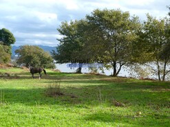 Quinta - Meadela, Viana do Castelo, Viana do Castelo - Miniatura: 7/9