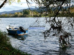 Quinta - Meadela, Viana do Castelo, Viana do Castelo - Miniatura: 8/9